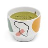 paddywax wabi sabi svicka sparkling bergamot