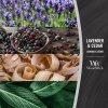 woodwick lavender cedar lodicka