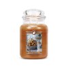 goose creek dazzling popcorn svicka