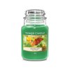yankee candle beautiful day velka