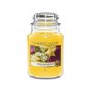 yankee candle tropical starfruit velka