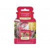 yankee candle red raspberry vune do auta 1