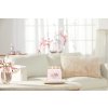 yankee candle pink cherry vanilla signature stredni 2