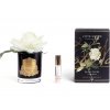 Côte Noire – Single Rose parfémovaná růže Ivory White v černé váze