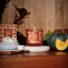 Spiced Pumpkin Latte 55212 Classic Candle 255 g 4