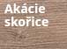 Akácie skořice