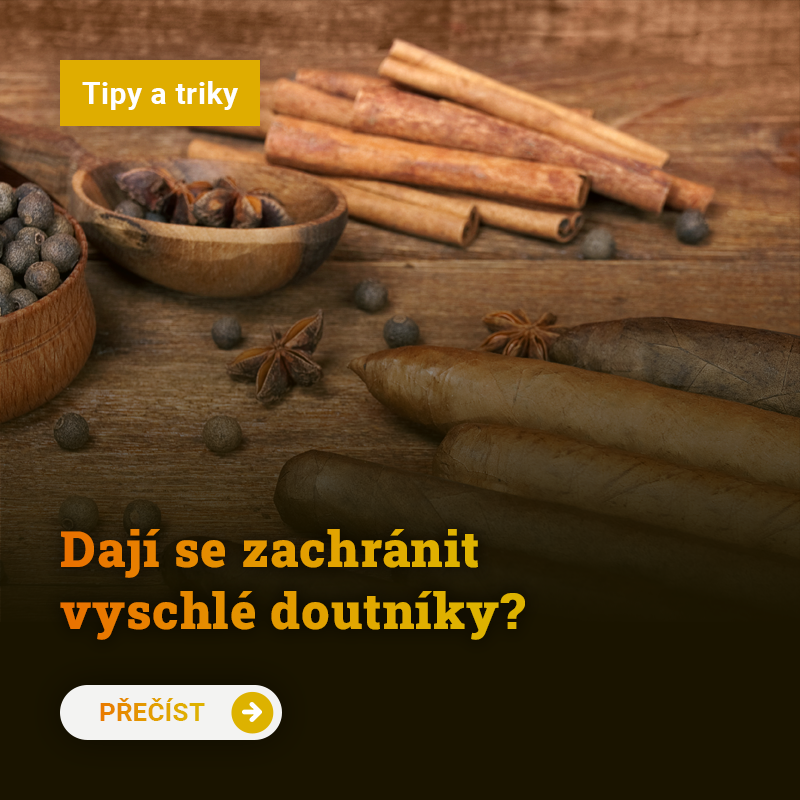 Dají se zachránit vyschlé doutníky?