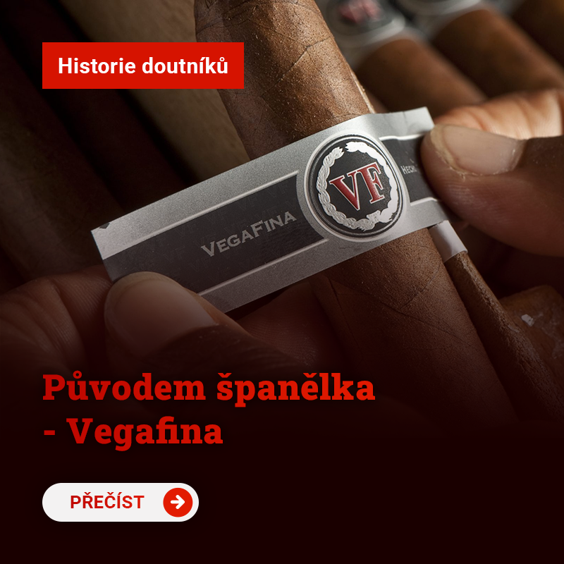 Původem španělka - Vegafina