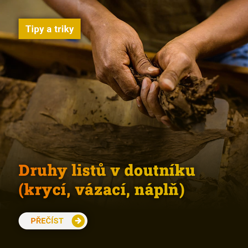 Druhy listů v doutníku (krycí, vázací, náplň)