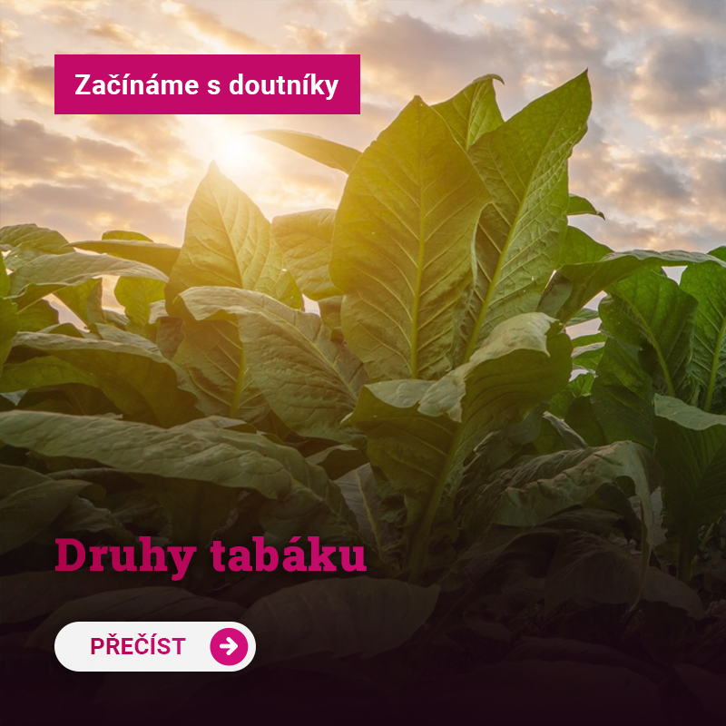 Druhy tabáku