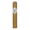 Robusto 2