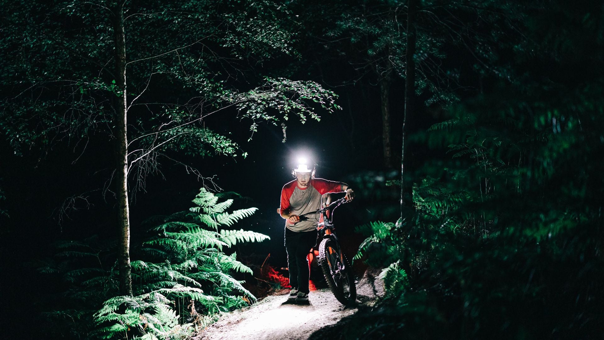 Cyklista tlačí bicykel po lesnom chodníku, svetlo Magicshine Monteer 6500S V2.0 na prilbe osvetľuje papradie okolo