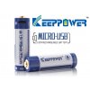 KeepPower P1450U1 AA 2925mWh, 1950mAh Li-ion 1,5V MicroUSB 1ks