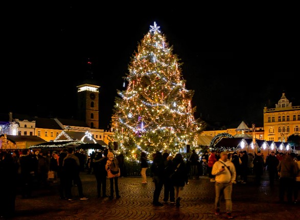 Zdobíme strom roku 2024