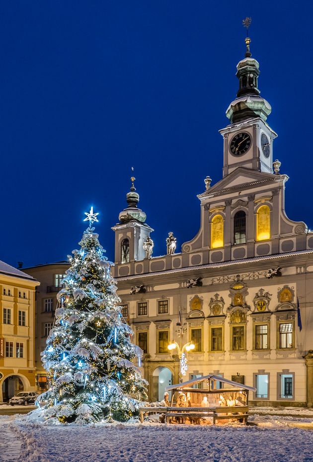 Obhájené prvenství o nejkrásnější Vánoční strom v anketě iDNES.cz v roce 2020