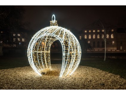 20251220 ČB PC205959