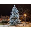 Led světelná sestava na vánoční strom studená bílá a červené a zlaté denní dekorace - varianta 8