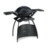 12423 weber gril q 2400 stand