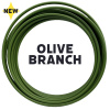 olive branch white background
