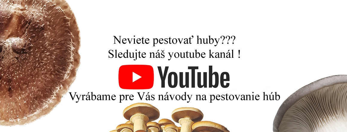 Video Navody na pestovanie hub