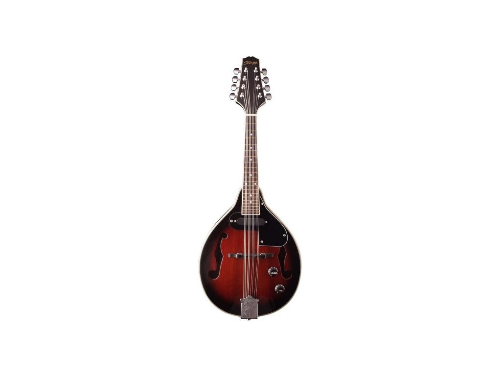Mandolína STAGG M50E