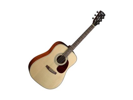 Akustická gitara Cort EARTH70-NS