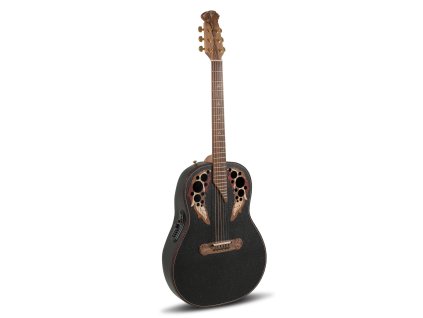E – akustická gitara 1687GT Deep Non-Cutaway
