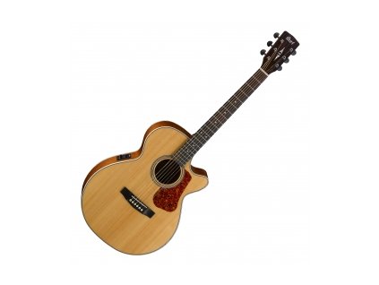 Elektro-akustická gitara Cort L100F NS