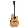 E – akustická gitara Celebrity CS Standard Mid Cutaway