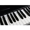 Henrys silitones TSP88