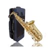 SET Buffet Crampon Es alt saxofon  100 Series