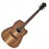 Ibanez V40WSCE-OPB Open Pore Brown Elektroakustická gitara Dreadnought
