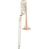 Arnolds & Sons Bb / F-pozauna TERRA- ASL-420G  B/F s kvartou uzavretou