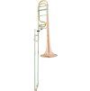 Arnolds & Sons Bb / F-pozauna TERRA ASL-4220G  B/F s kvartou otvorenou