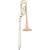 Arnolds & Sons Bb / F-pozauna TERRA- ASL-430G  B/F s kvartou uzavretou