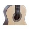 Principio 4/4 gitara Serie P