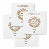 Struny pre Cello Jargar Evoke  pre 4/4 cello