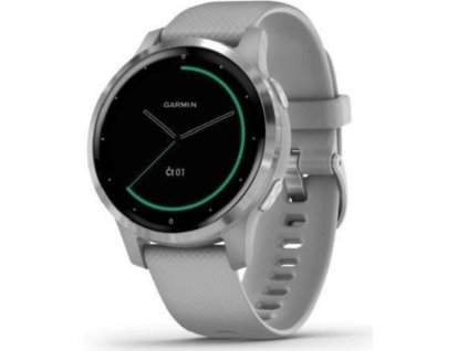 Garmin vívoactive4S Silver