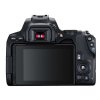 Canon EOS 250D 2