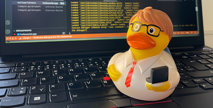 Kachnička na stole, řešení v hlavě aneb rubber duck debugging