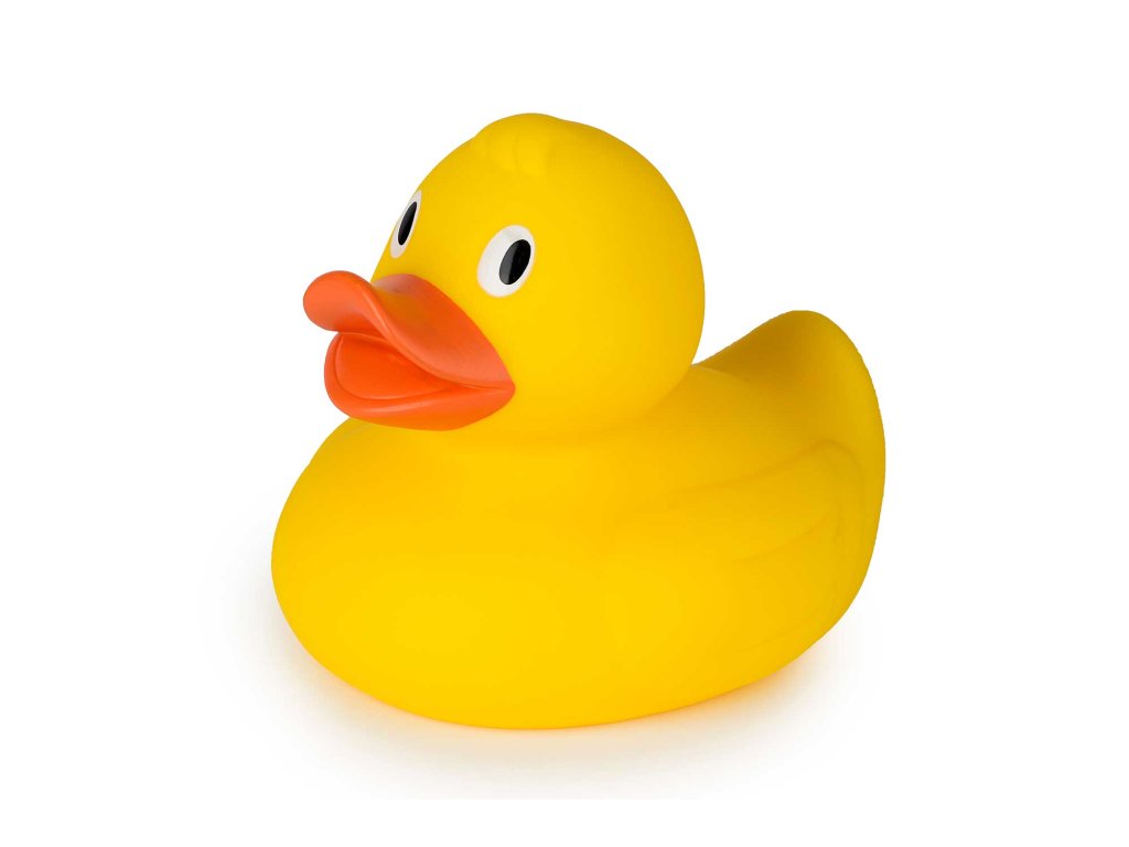 42405 5420071702965 Isabelle Laurier Big duck yellow ind. no tag 2020 96 dpi