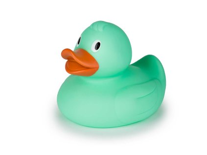 42401 5420071701821 Isabelle Laurier Big duck mint green ind. no tag 2020 96 dpi