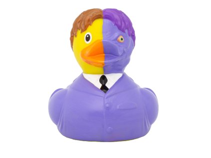 Kachnička dvojí tvář