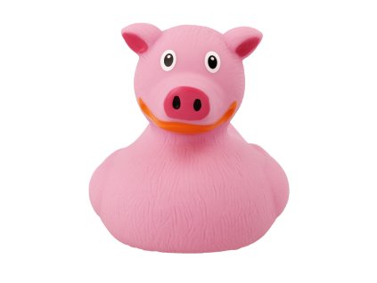 Gumová kachnička prase 1
