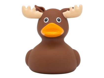 Gumová kachnička los 1