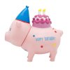 Pokladnička prasátko oslavenec 4