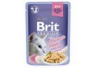 Kapsičky pro kočky Brit Premium filetky v želé