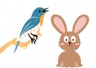 Akce a slevy na krmivo pro králíky, křečky, myši, ptáčky a další zvířátka