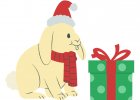 Vánoční dárky pro hlodavce a králíky