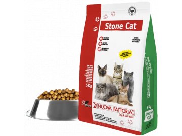 Stone cat1+